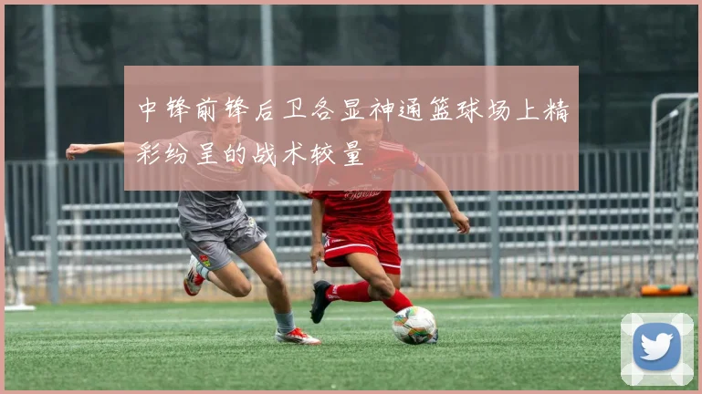 中锋前锋后卫各显神通篮球场上精彩纷呈的战术较量