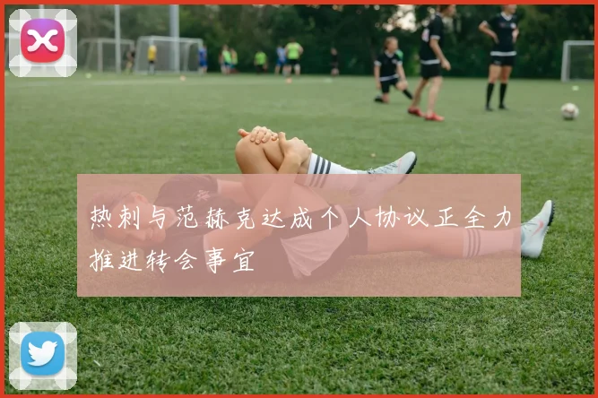 热刺与范赫克达成个人协议正全力推进转会事宜